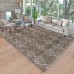 Zurich Shag Rug, Darro Collection, Brown, 5 ft. 3 in. x 7 ft. 5 in.