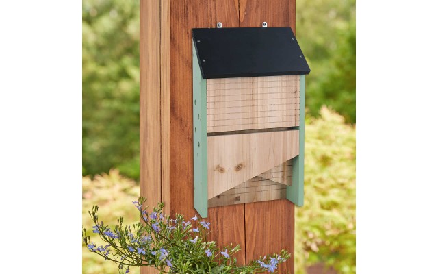 2 Chamber Bat House