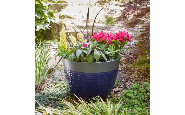 Ailani Resin Planter, 2-pack, Blue