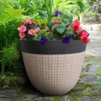Ailani Resin Planter, 2-pack, Brown
