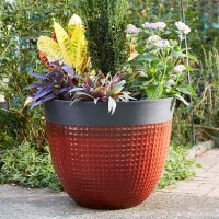 Ailani Resin Planter, 2-pack, Red