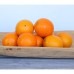 Alder & Oak Washington Navel Orange Tree
