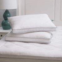 Allied Home MicronOne Anti-Allergen Pillow, 2-pack, One Color, Standard Size