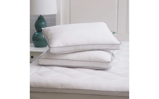  MicronOne Anti-Allergen Pillow, 2-pack, One Color, Standard Size