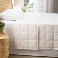 Allied Home RDS Down Blanket, White, Twin