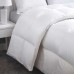 RDS White Goose Down Comforter, One Color, Queen