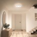  Horizon LED Integrated Flush Mount With Variable Color Technology