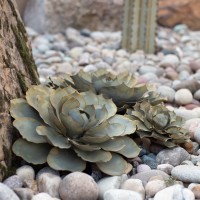 Blue Rose Succulent Sculpture Set, 3-piece by Desert Steel