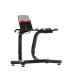  SelectTech 552 Dumbbells With Stand