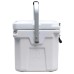  10L Premium Cooler, White