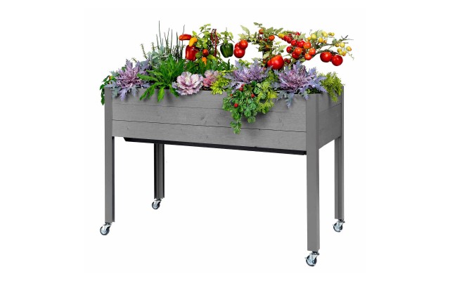  Self-Watering Elevated Spruce Planter, Gray