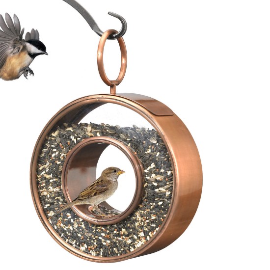 Circle Fly-Thru Bird Feeder