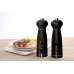  Windsor Black Gloss Salt Pep Black