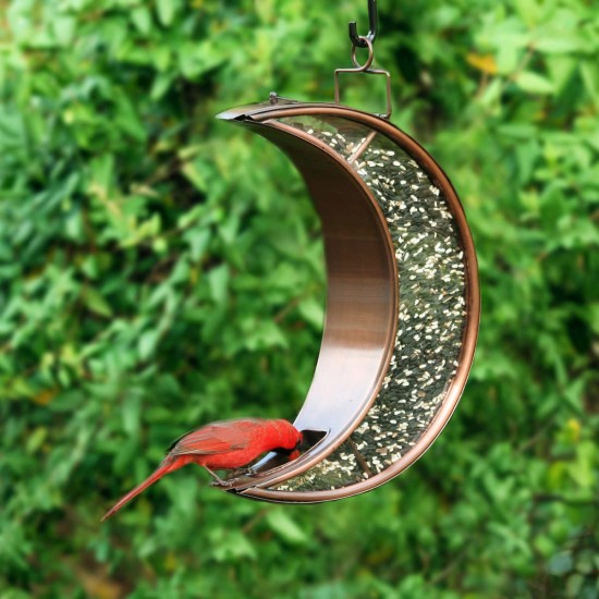 Crescent Moon Bird Feeder