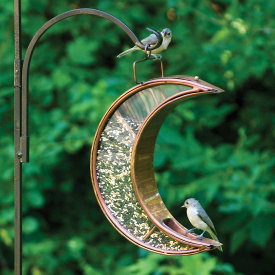 Crescent Moon Bird Feeder