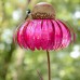 Desert Steel Coneflower Bird Feeder