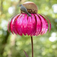 Desert Steel Coneflower Bird Feeder