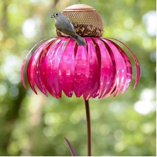 Desert Steel Coneflower Bird Feeder