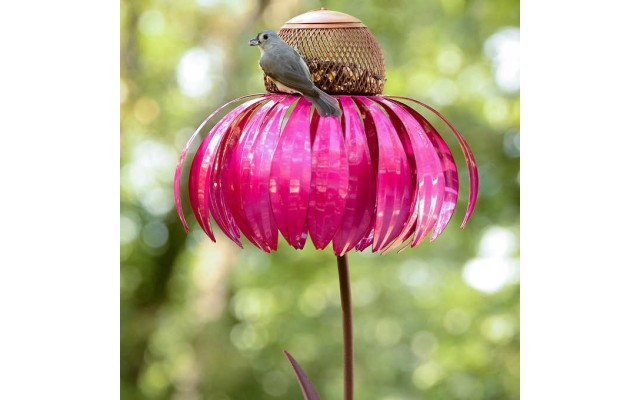 Desert Steel Coneflower Bird Feeder