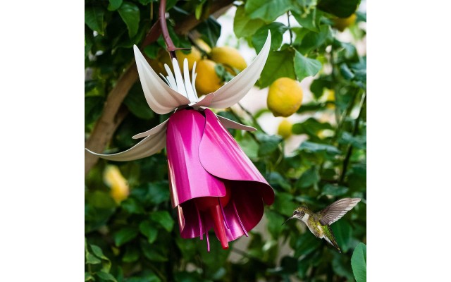  Fuchsia Hummingbird Feeder, Pink