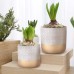 Geometric Cement Plant Pots by Inspirella, 2 Pack