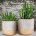 Geometric Cement Plant Pots by Inspirella, 2 Pack