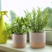 Geometric Cement Plant Pots by Inspirella, 2 Pack