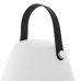 GloGlobe Wireless LED Color Changing Lantern, 2pk