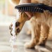  Dog Showerhead