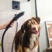  Dog Showerhead