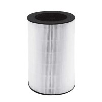 HoMedics TOTALCLEAN™ Replacement 360° True HEPA Filter