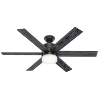 Hunter Gallatin Smart LED 54