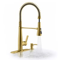 Kohler Semi-Professional Kitchen Faucet with Soap Dispenser, Gold