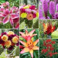 Longfield Ultimate Cut Flower Collection, 300 Bulbs