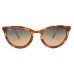  Star Gazing HS813-10 Tortoise Bronze Polarized Sunglasses