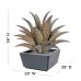Metal Sawtooth Agave Plant & Planter by 
