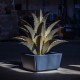 Metal Sawtooth Agave Plant & Planter by 