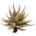 Metal Sharkskin Agave Plant & Planter by 