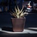 Metal Sharkskin Agave Plant & Planter by 