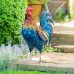 Metal Wild Kauai Rooster
