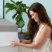  SoFresh 3” Gel Memory Foam Topper, One Color, King