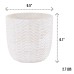 Ocean Waves Cement Plant Pots by Inspirella, 2 pack