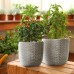 Ocean Waves Cement Plant Pots by Inspirella, 2 pack