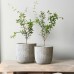 Ocean Waves Cement Plant Pots by Inspirella, 2 pack
