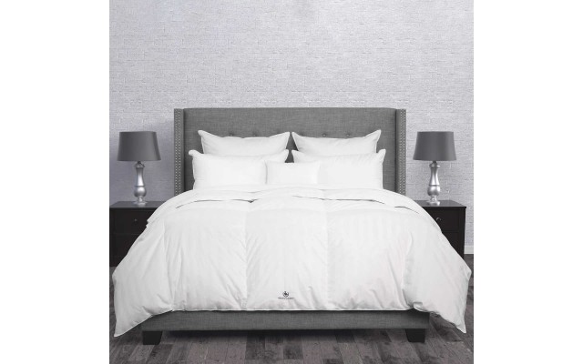  Feather European White Duck Down Comforter - Extra Warmth, One Color, Twin