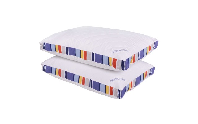  National Park Collection Pillow, 2-pack, Blue