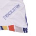  National Park Collection Pillow, 2-pack, Blue