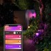  Hue Econic Outdoor Pedestal with 40W Power Supply