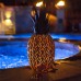 Pineapple Luminary by Desert Steel