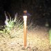  Professional Series LED Solid Copper Path & Area Luminaire